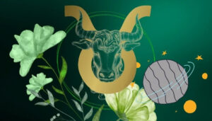 بهترین هدیه برای متولدین اردیبهشت